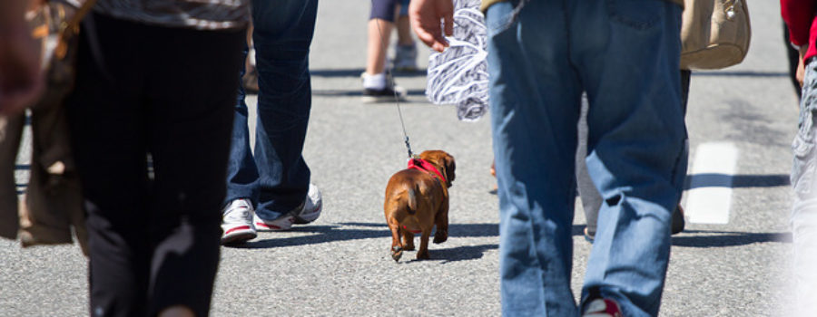 Walkable Neighborhoods