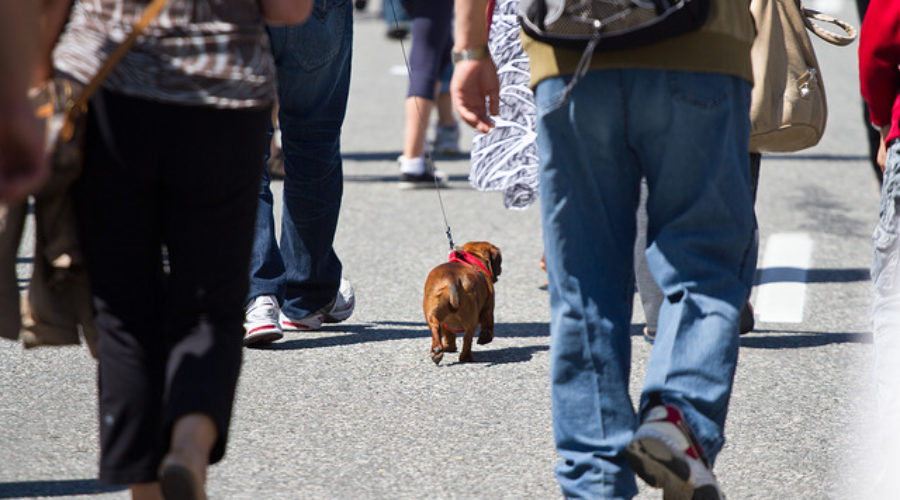 Walkable Neighborhoods